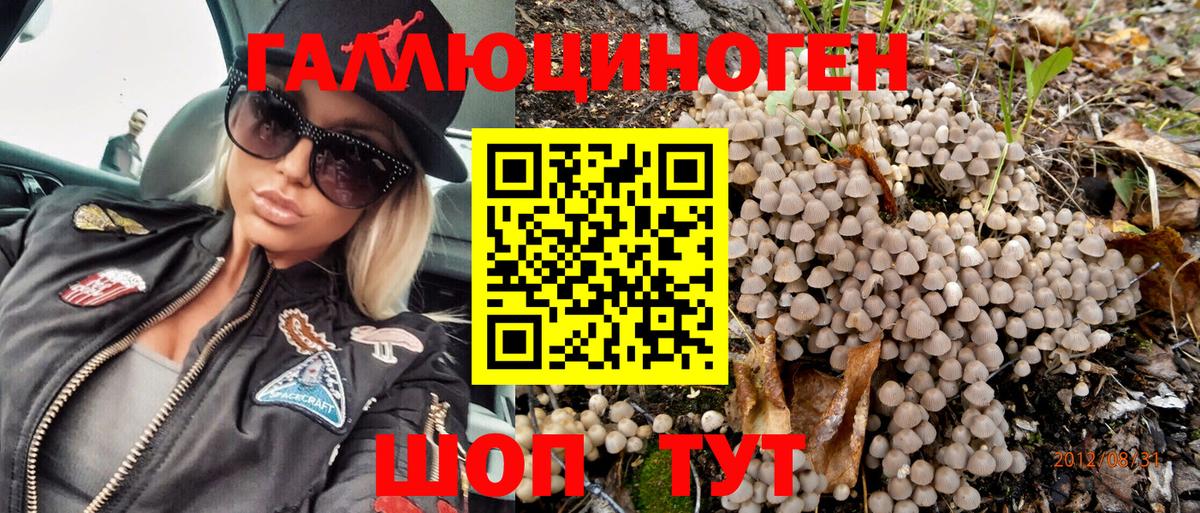 Галлюциногенные грибы MAGIC MUSHROOMS Волгоград