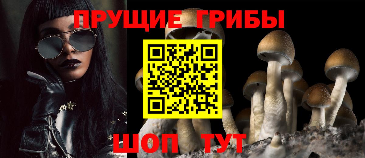 Волгоград  Псилоцибиновые грибы Cubensis  купить  цена  Вход с VPN 